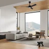 Ventilador de techo Mantra Thai Negro Negro Luz LED 122 cm