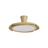 Ventilador retráctil Alemar Qatar madera clara luz LED 49-120 cm